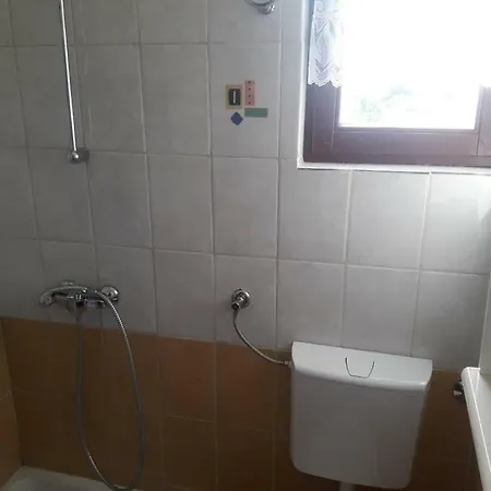 Dalmatino