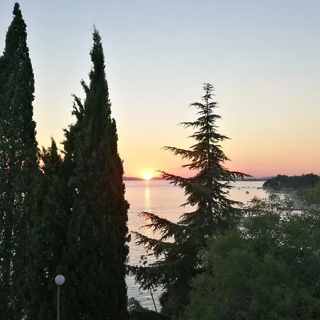 Dalmatino Brodarica (Sibenik-Knin)