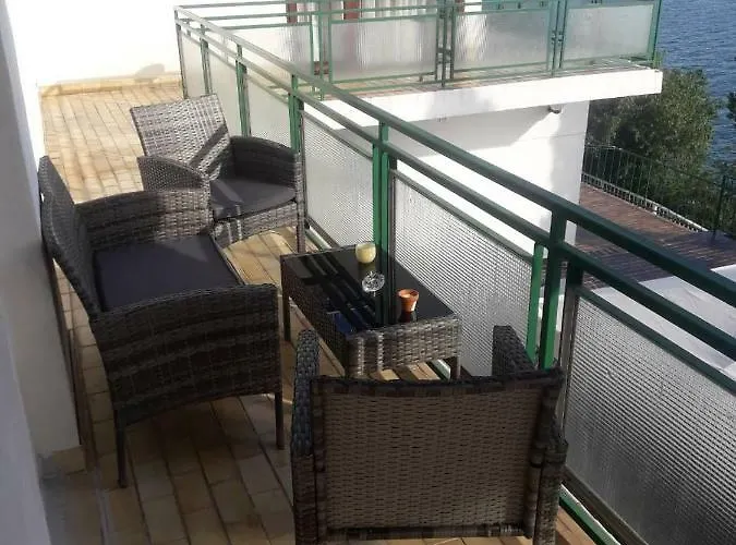 Dalmatino ブロダリツァ