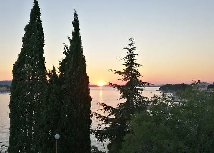 Dalmatino Brodarica (Sibenik-Knin)