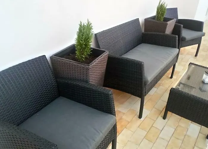 Dalmatino * ブロダリツァ