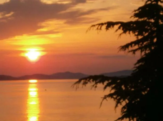 Apartman Dalmatino Brodarica (Sibenik-Knin)